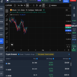CryptoTech dashboard showing chart view